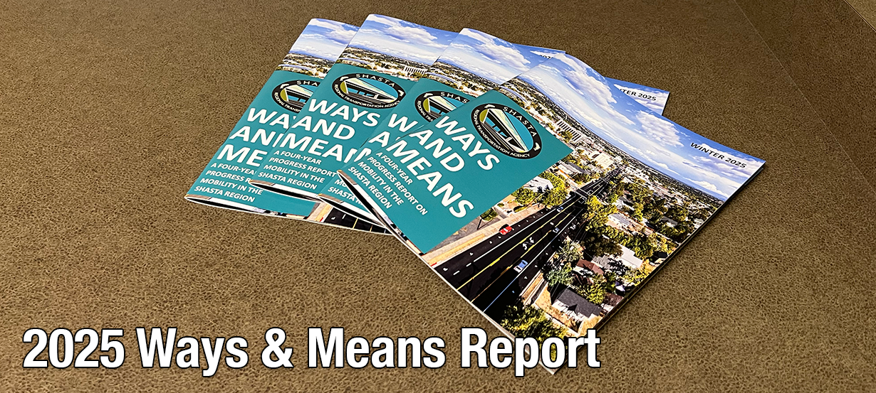 Printed copies of the 2025 Ways and Means Report fanned out on a counter